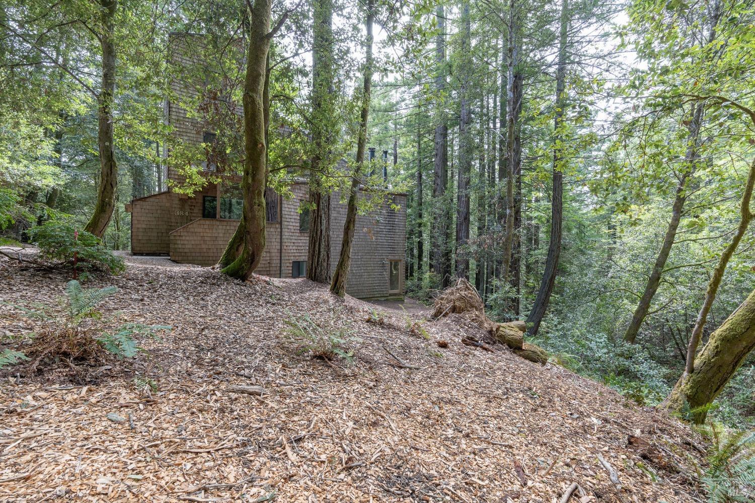 384 Madrone Mdw