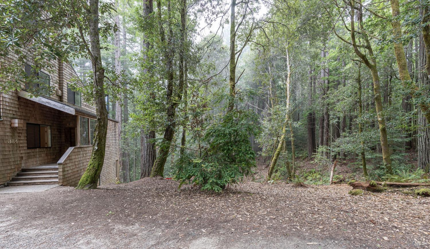 384 Madrone Mdw