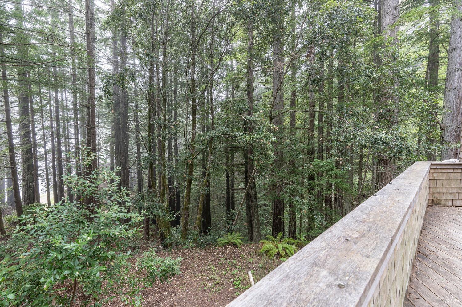 384 Madrone Mdw