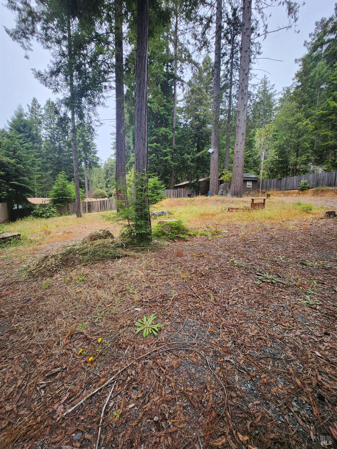 46020 Pacific Woods Rd