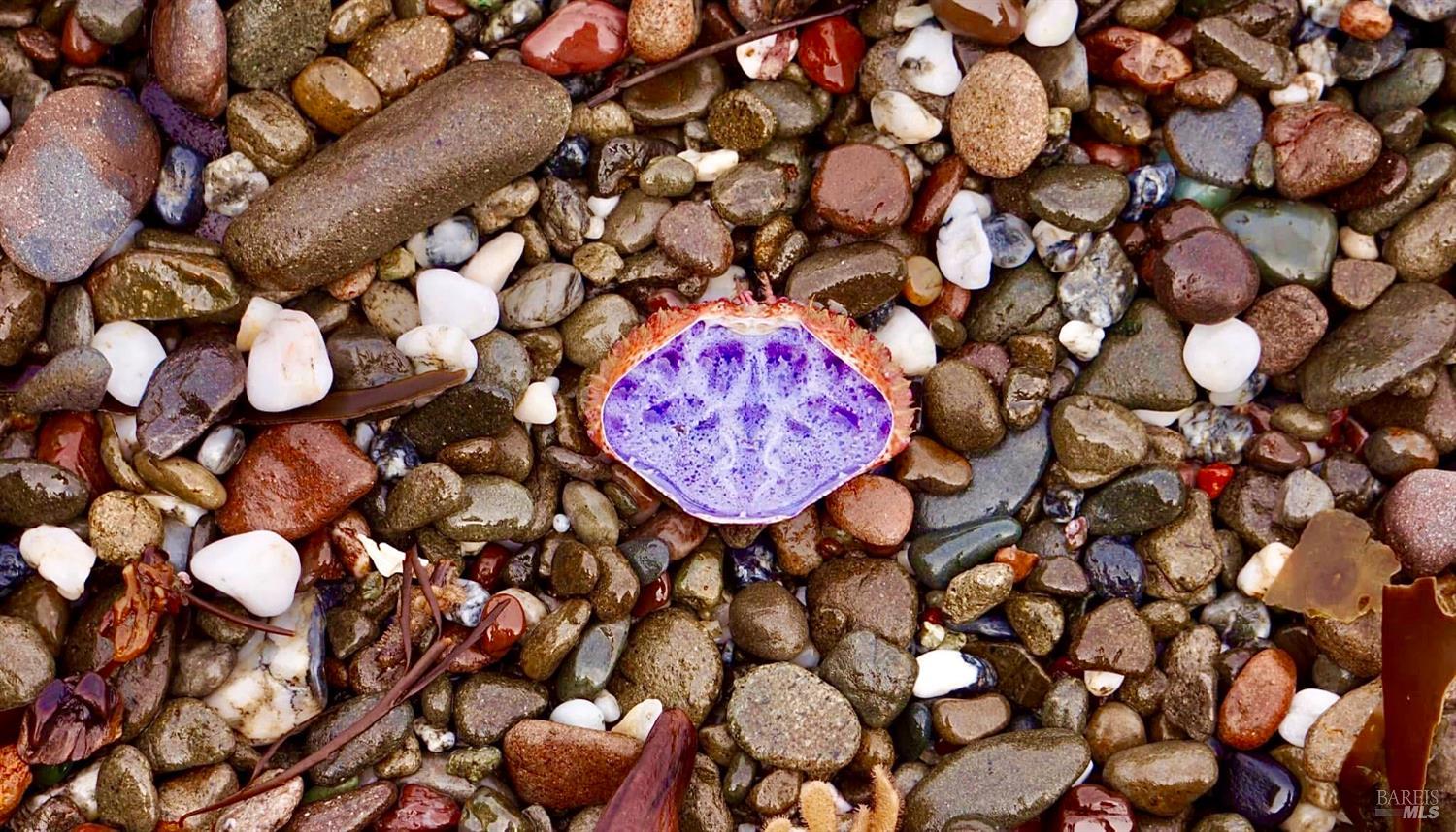 46020 Pacific Woods Rd