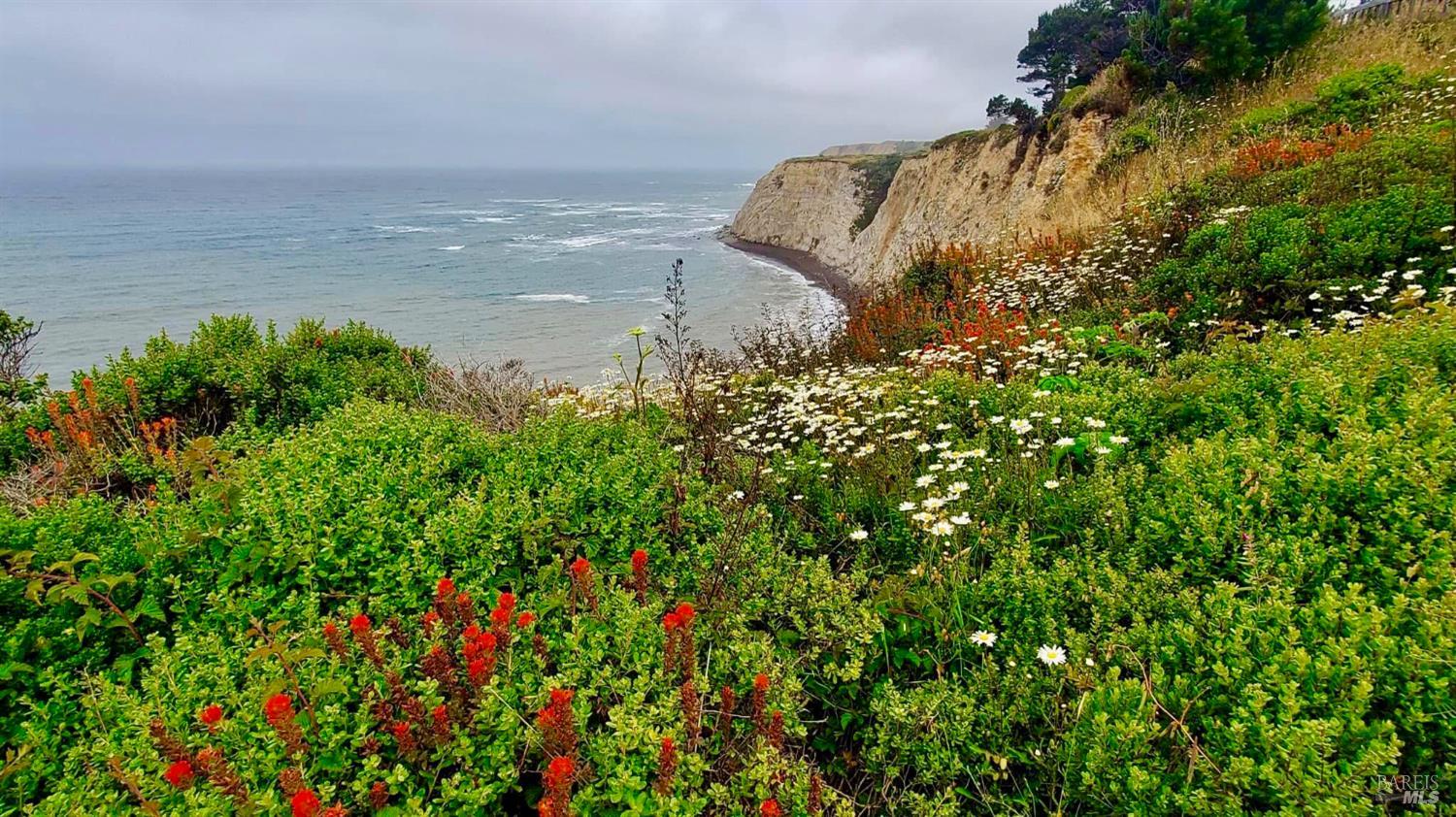 46020 Pacific Woods Rd