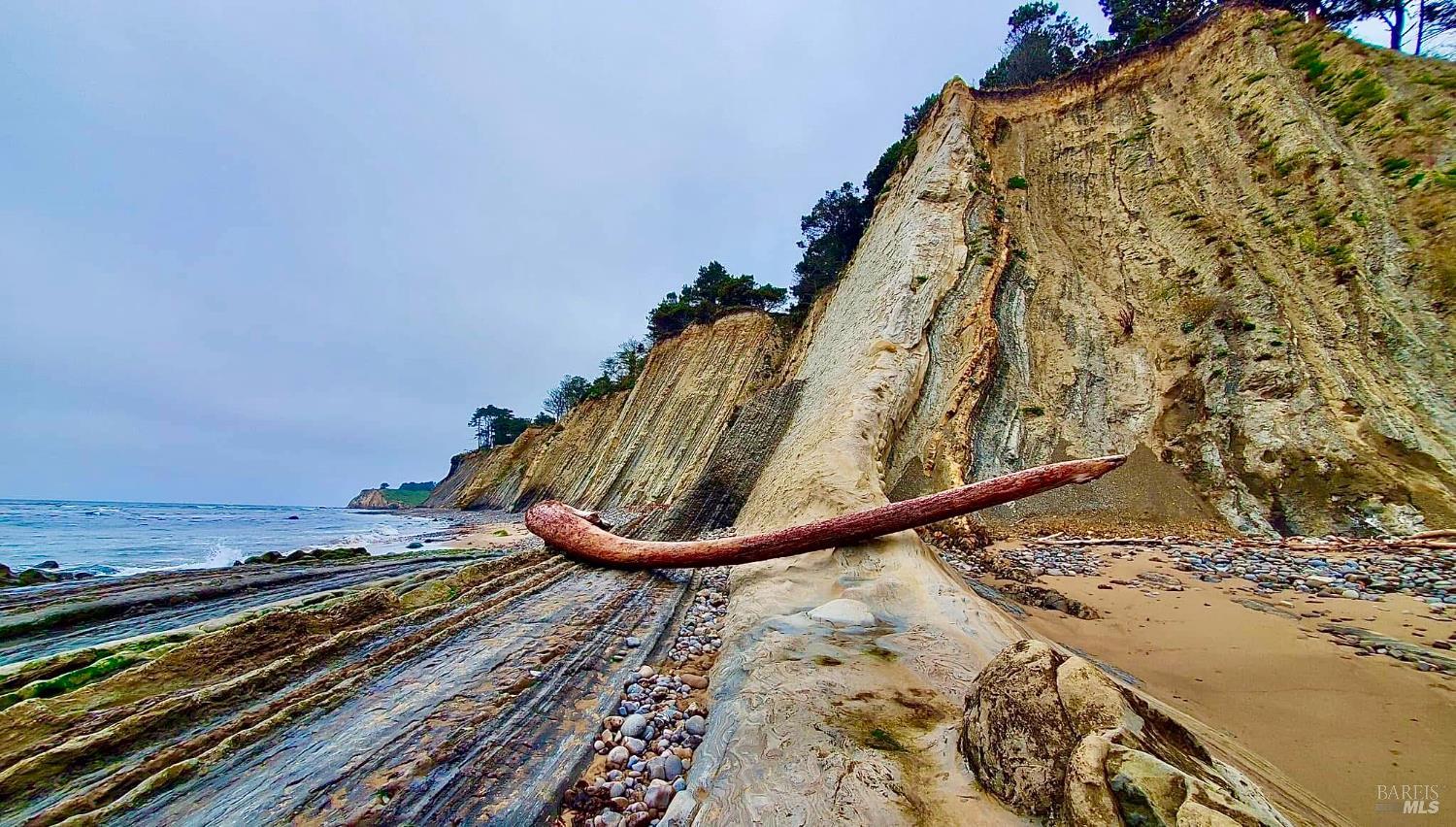 46020 Pacific Woods Rd