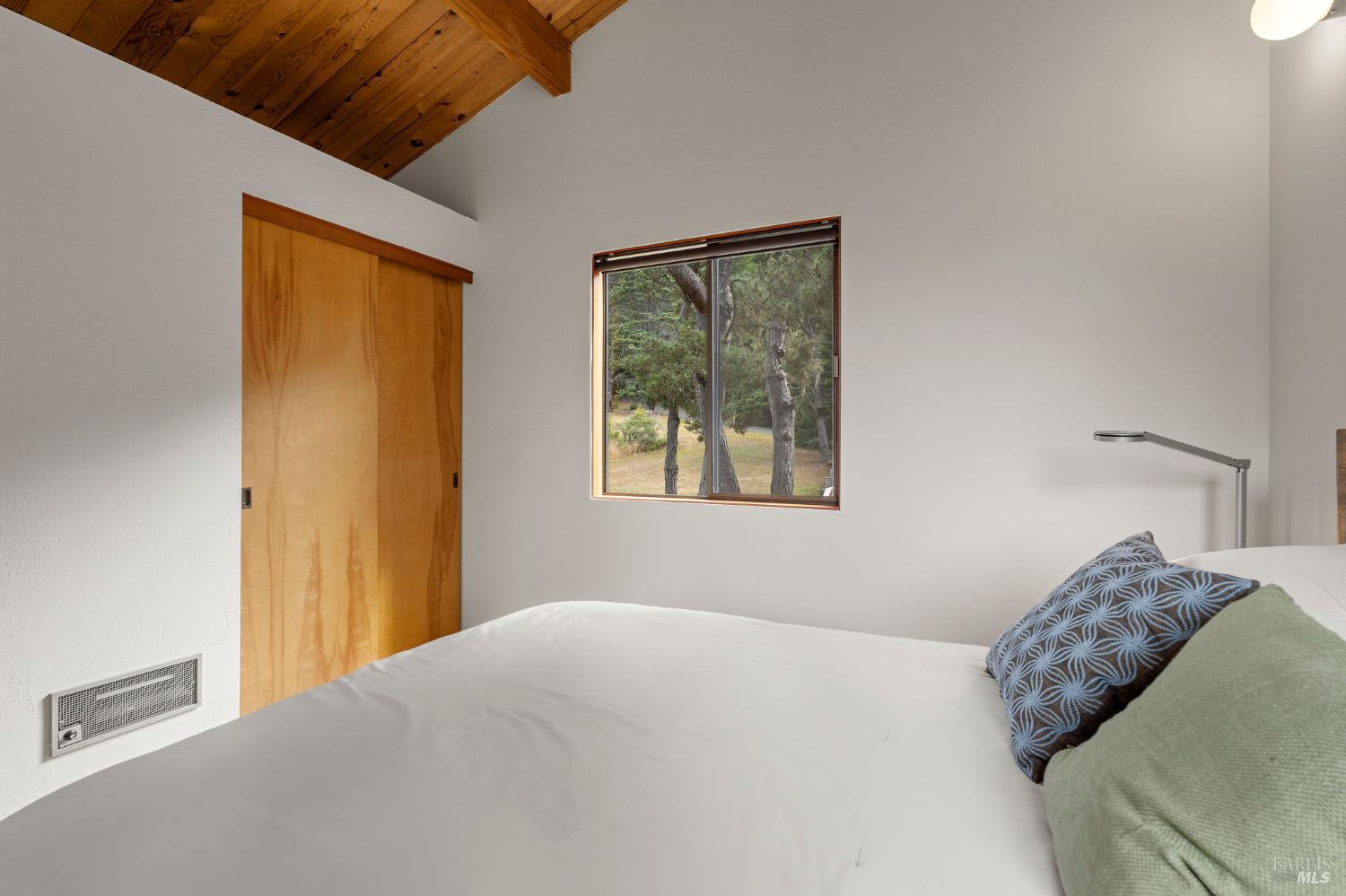 146 White Fir Wood #29A