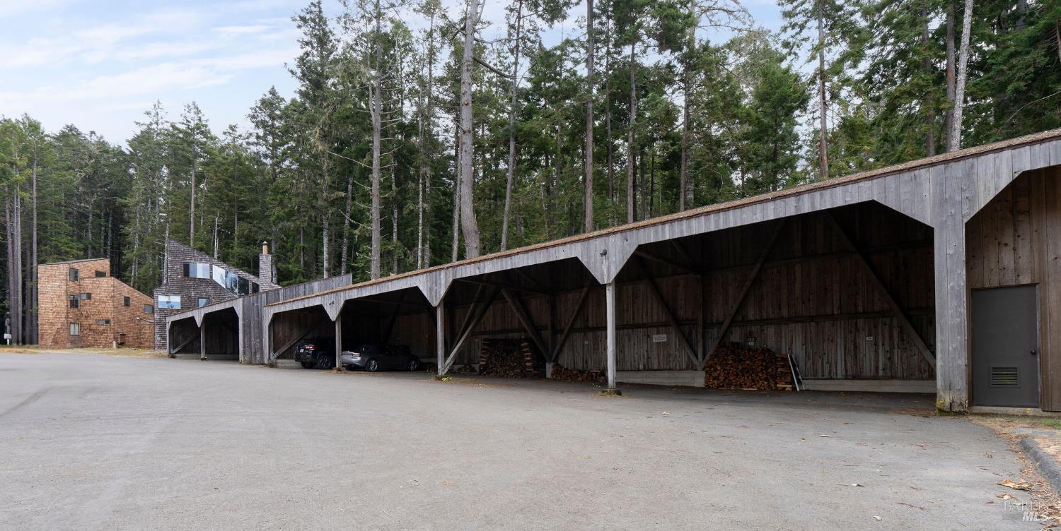 146 White Fir Wood #29A