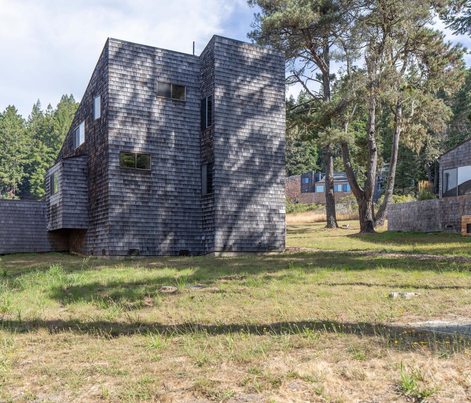 146 White Fir Wood #29A