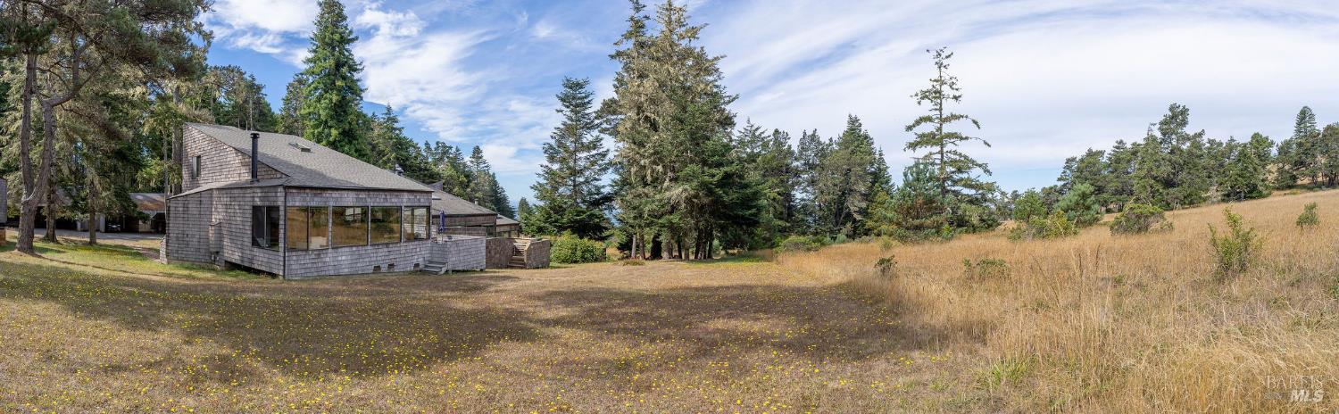 146 White Fir Wood #29A