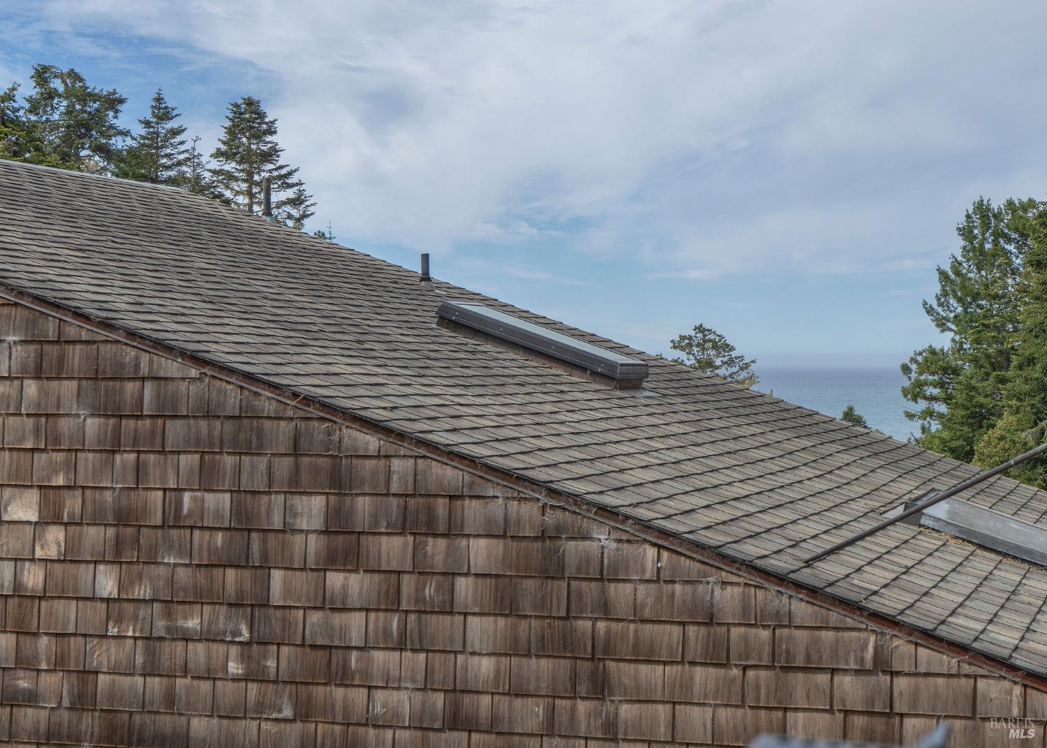 146 White Fir Wood #29A