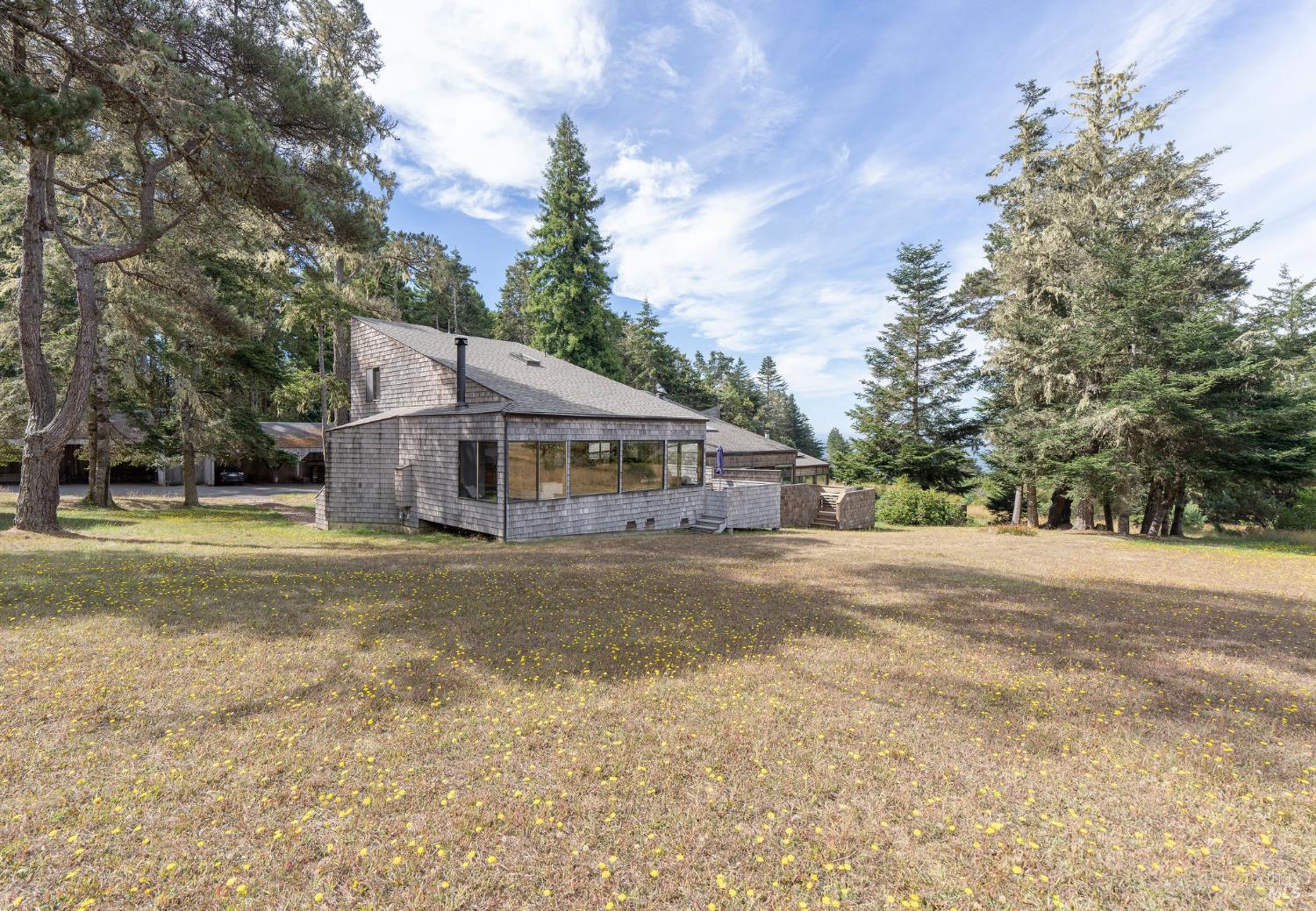 146 White Fir Wood #29A