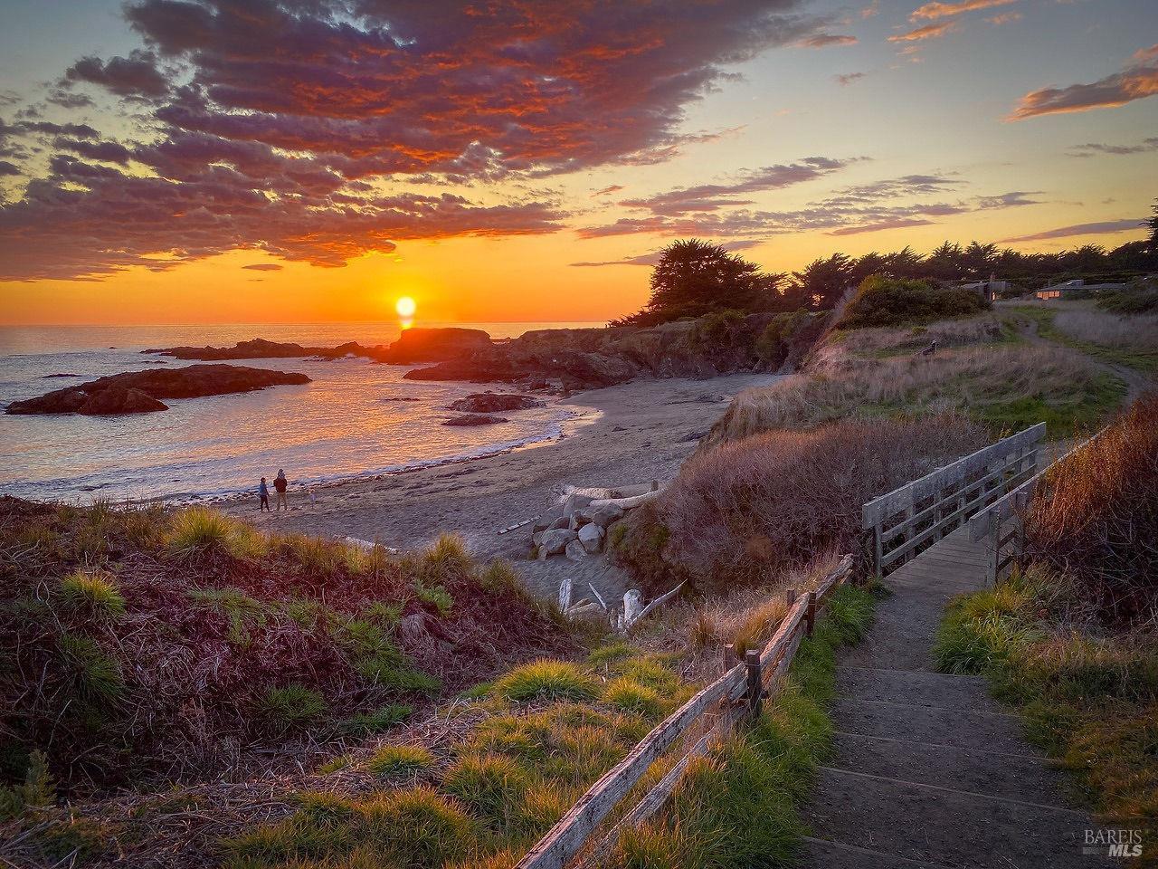 146 White Fir Wood #29A