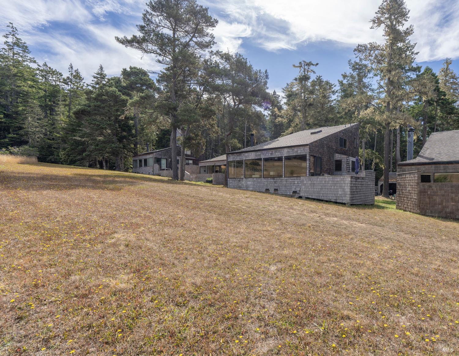 146 White Fir Wood #29A