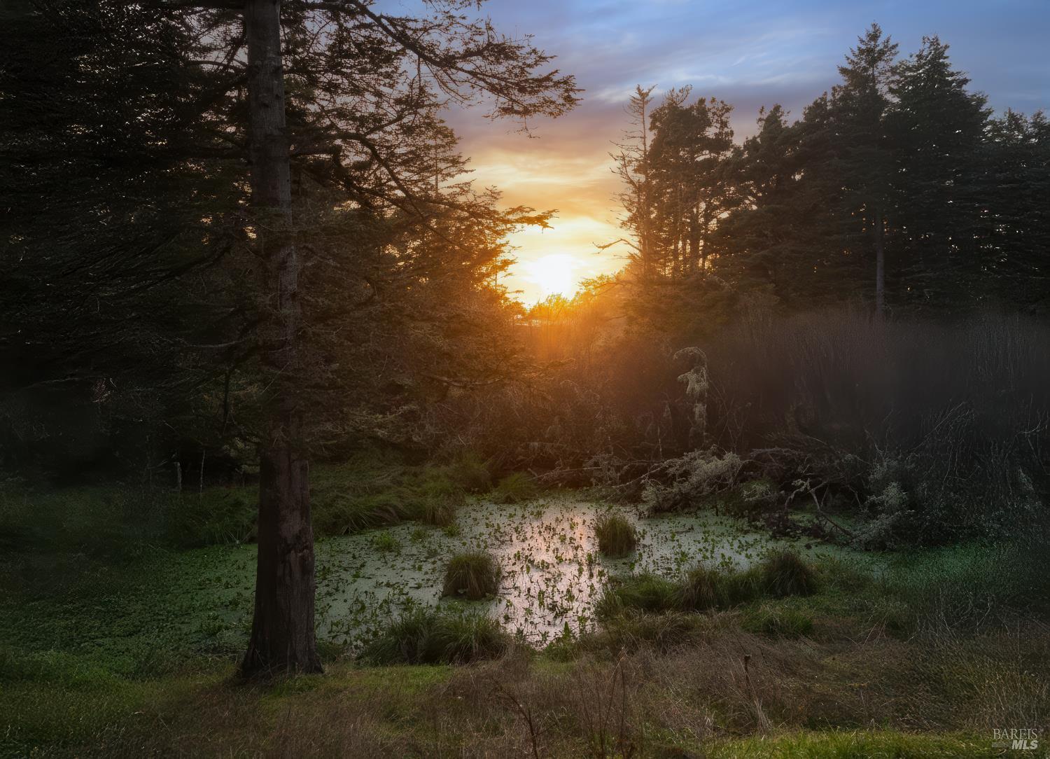 36029 Timber Ridge Rd