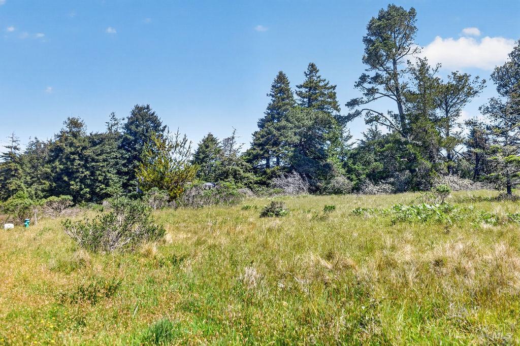 35604 Timber Ridge Rd