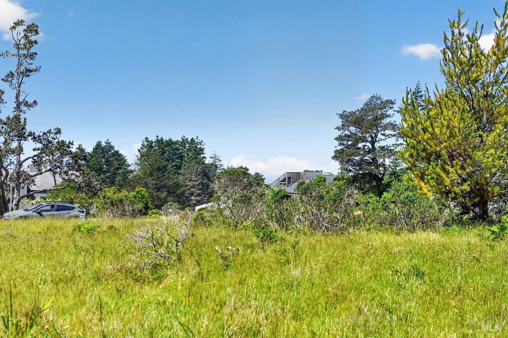 35604 Timber Ridge Rd
