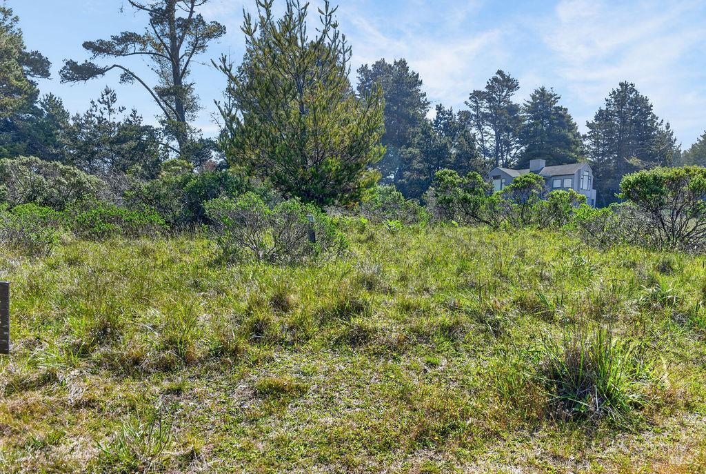35604 Timber Ridge Rd