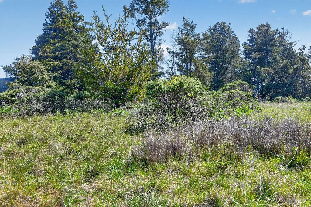 35604 Timber Ridge Rd