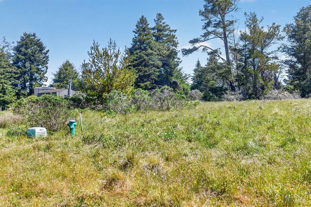35604 Timber Ridge Rd