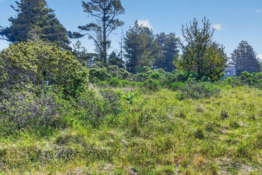 35604 Timber Ridge Rd