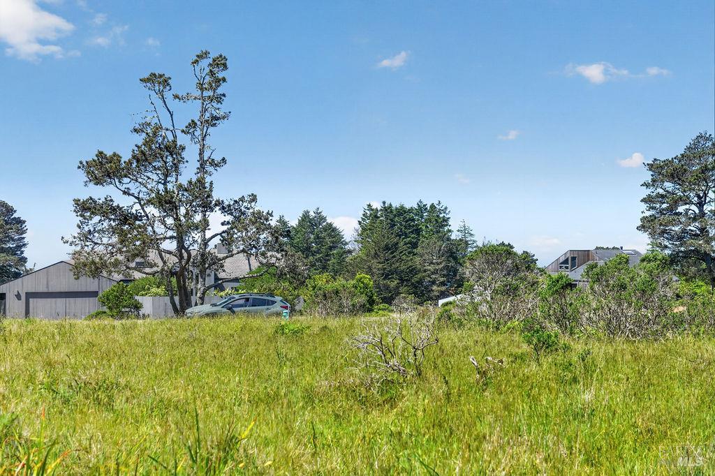 35604 Timber Ridge Rd