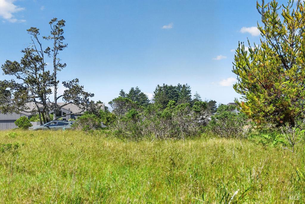 35604 Timber Ridge Rd