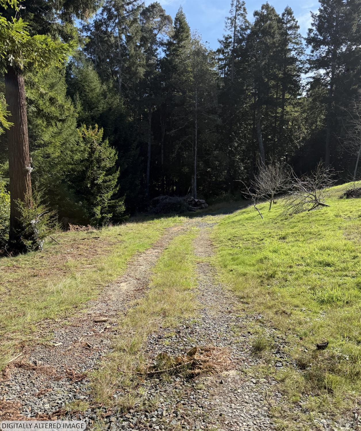 40741 Garcia River Road