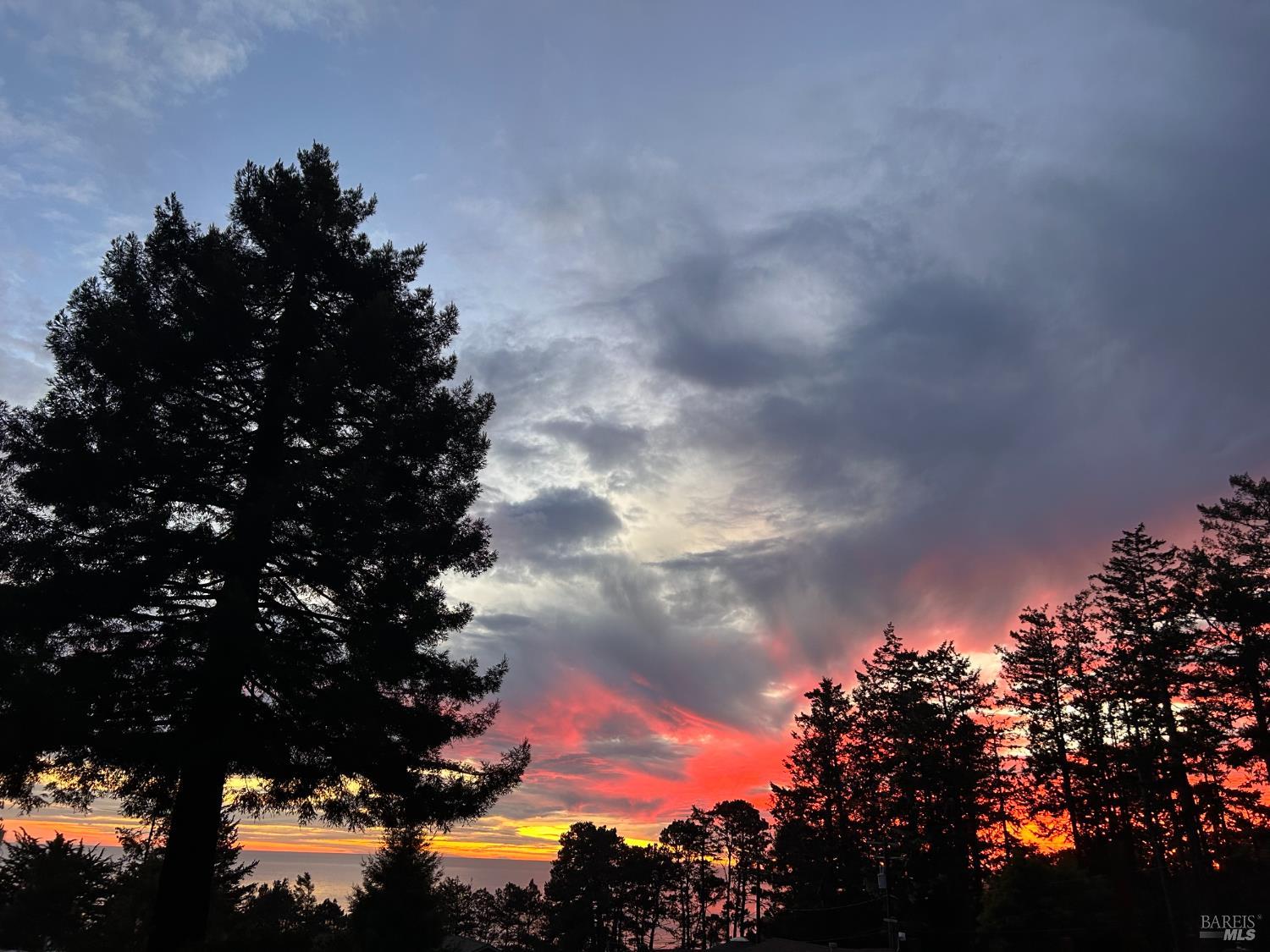 35520 Ocean View Court
