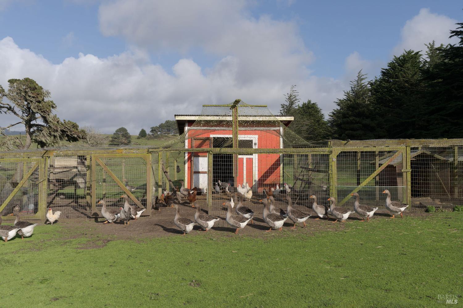 43700 Mountain View Road