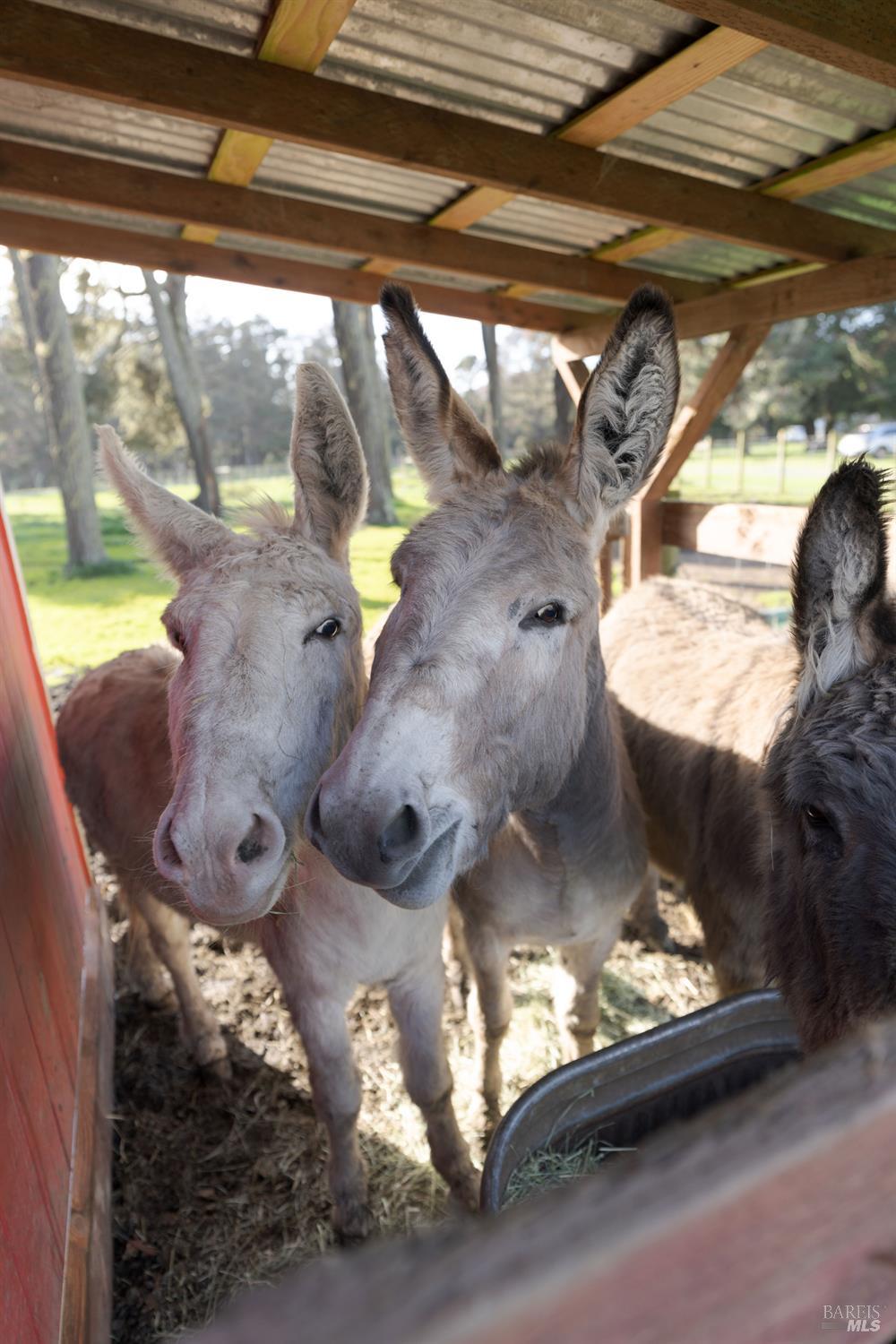 43700 Mountain View Road