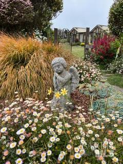 43700 Mountain View Road