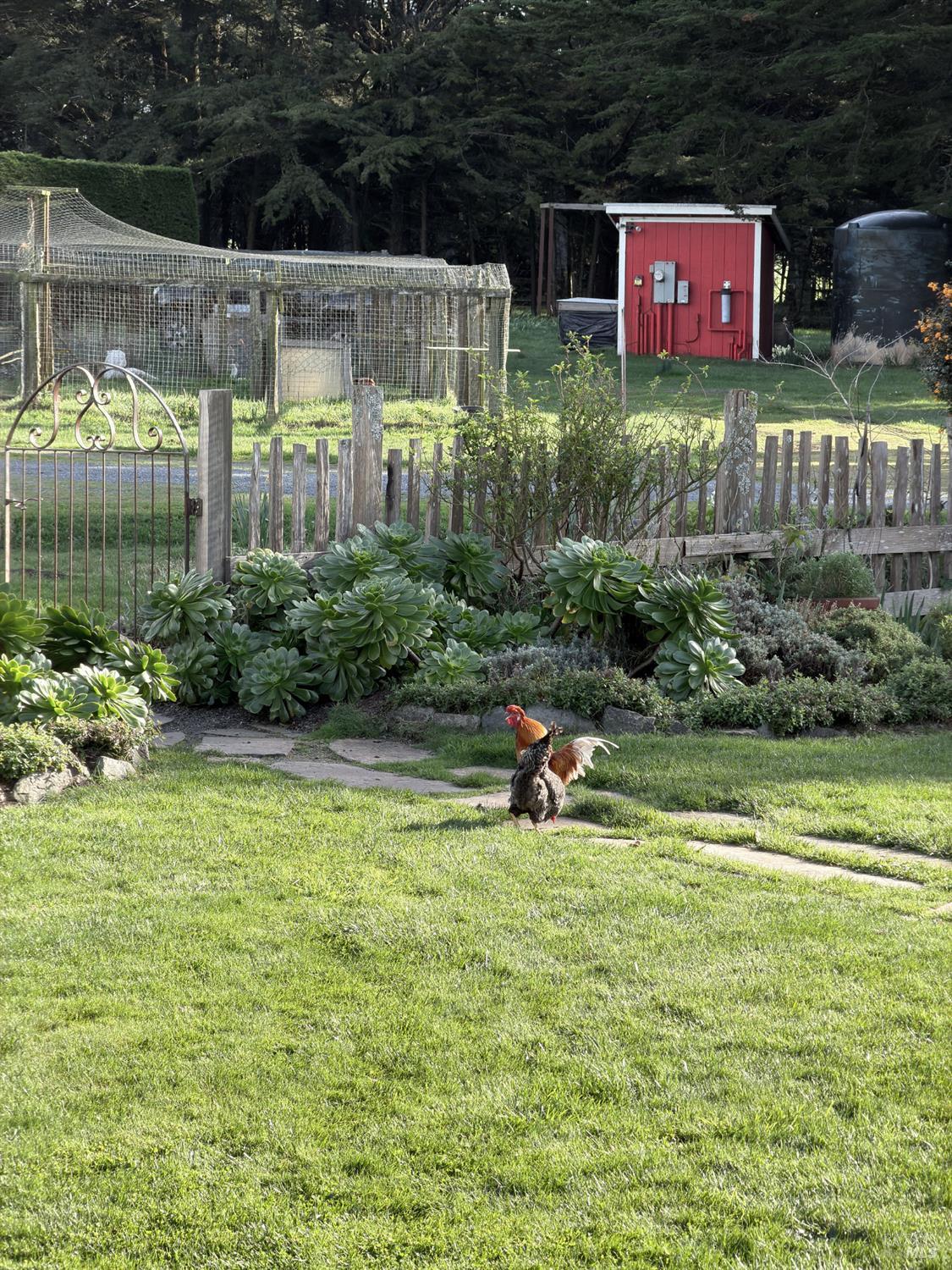 43700 Mountain View Road