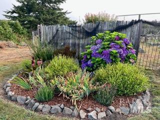 43700 Mountain View Road