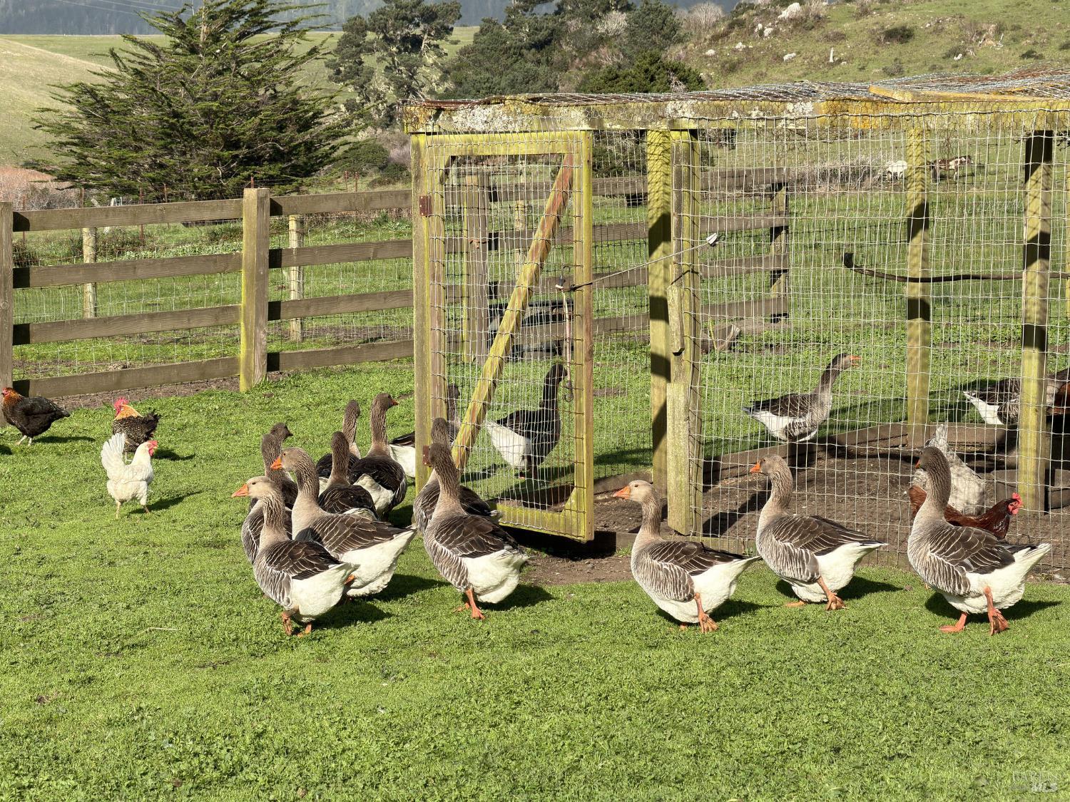 43700 Mountain View Road