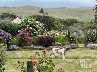 43700 Mountain View Road