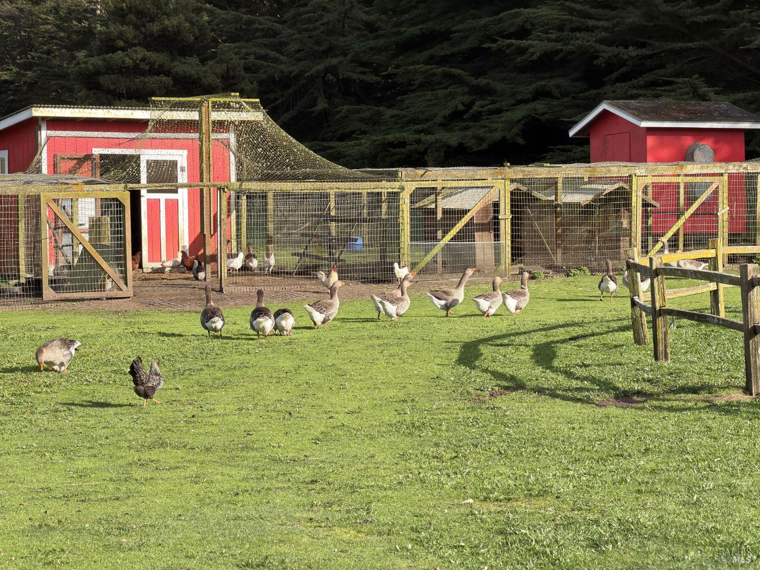 43700 Mountain View Road