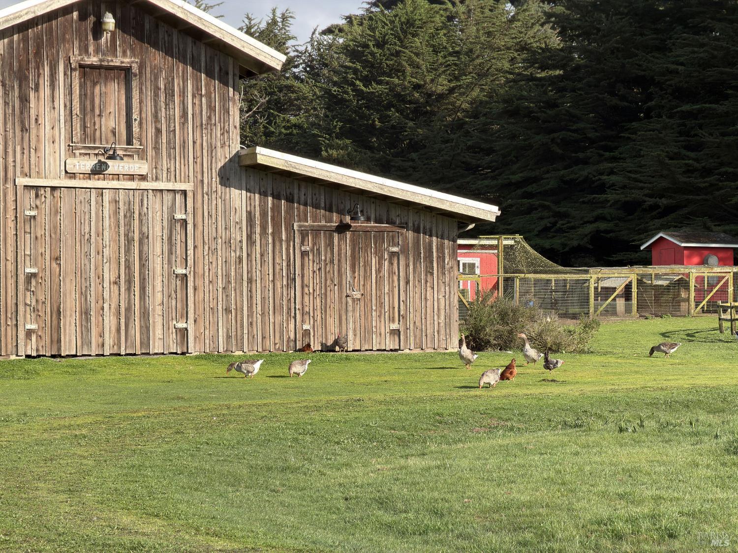 43700 Mountain View Road