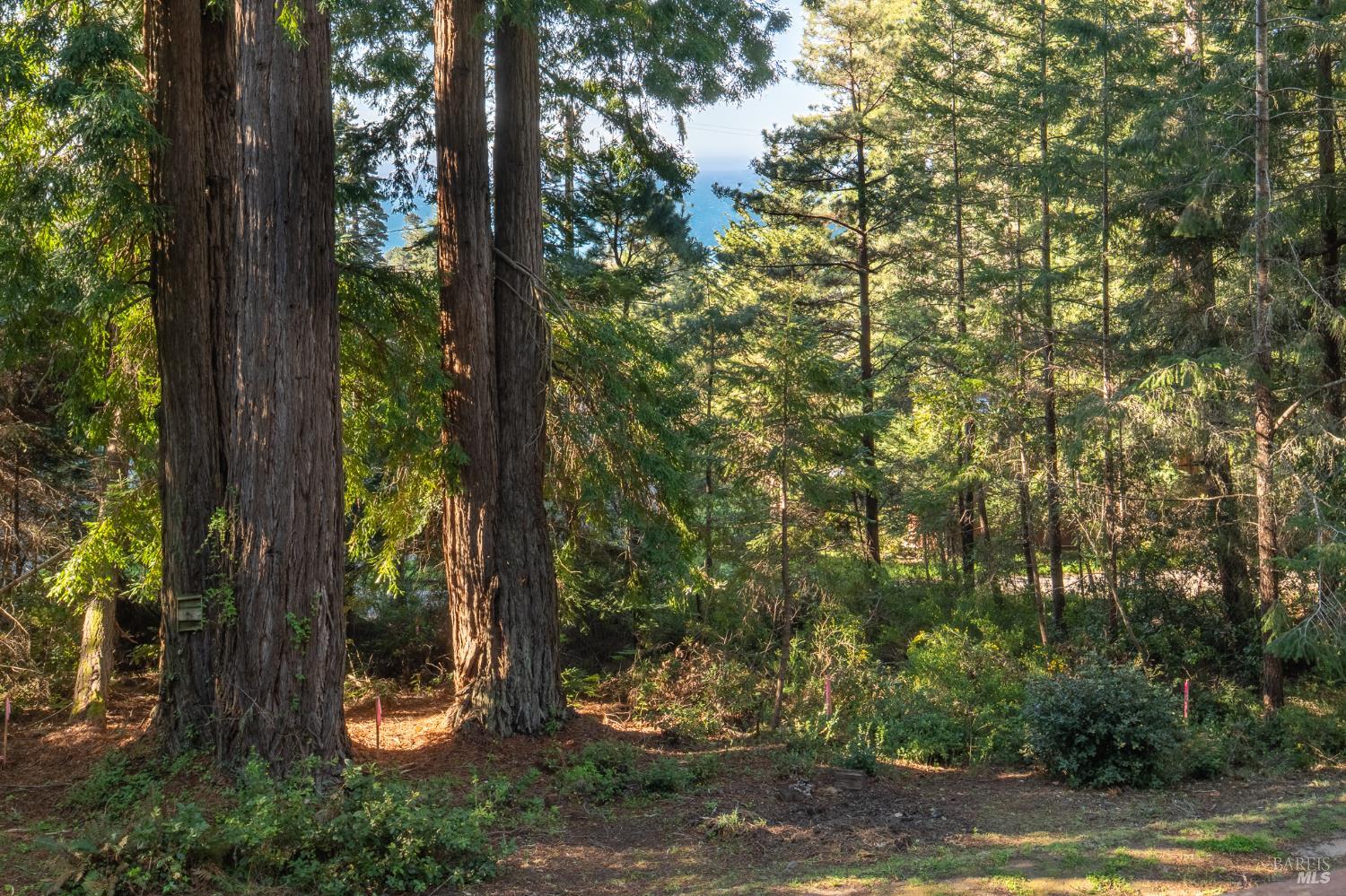 46801 Ocean View Drive