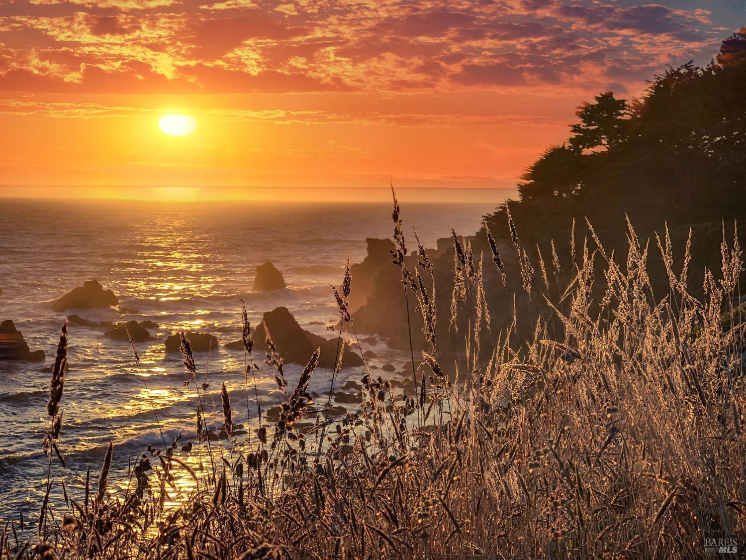 36804 Green Cove Drive