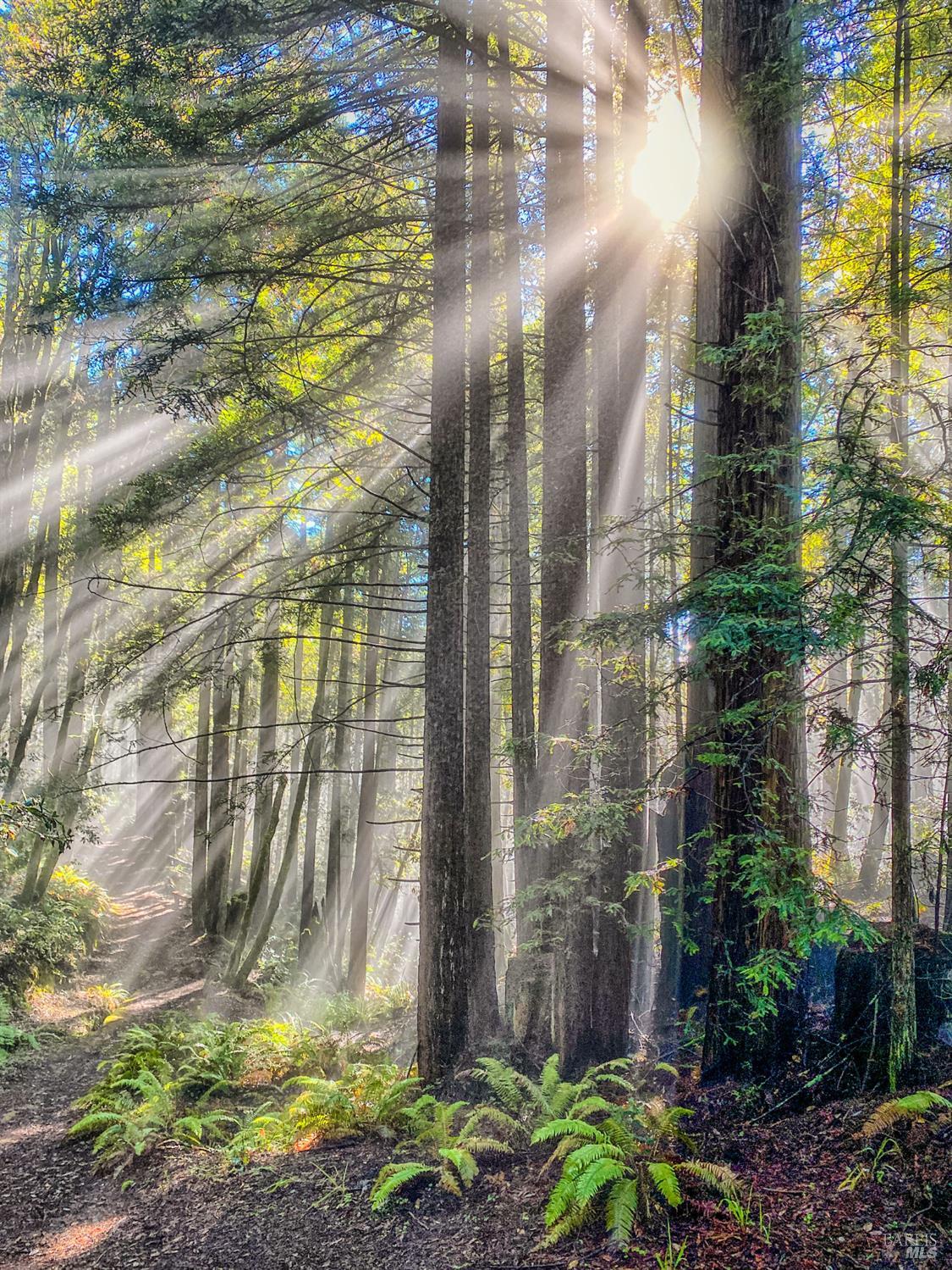 36804 Green Cove Drive