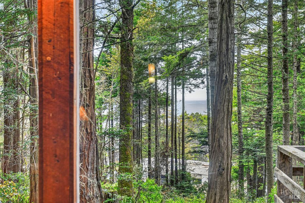 46825 Pacific Woods Road