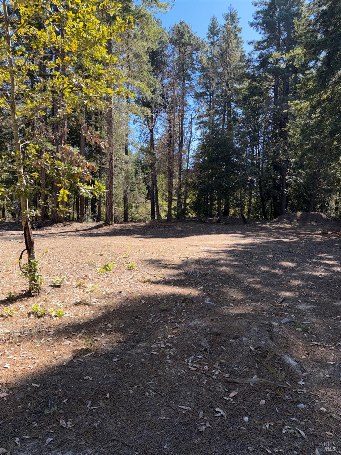 37951 Country Club Way