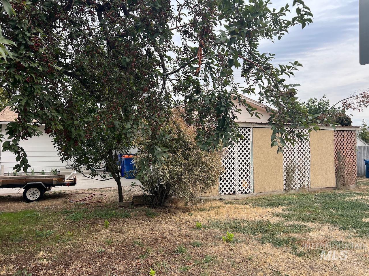 Backyard shed with plywood panels and white lattice, partly screened by trees and shrubs.
