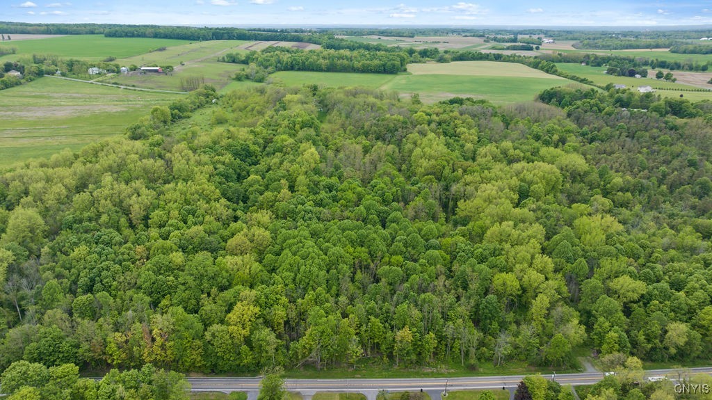 State Rte 38