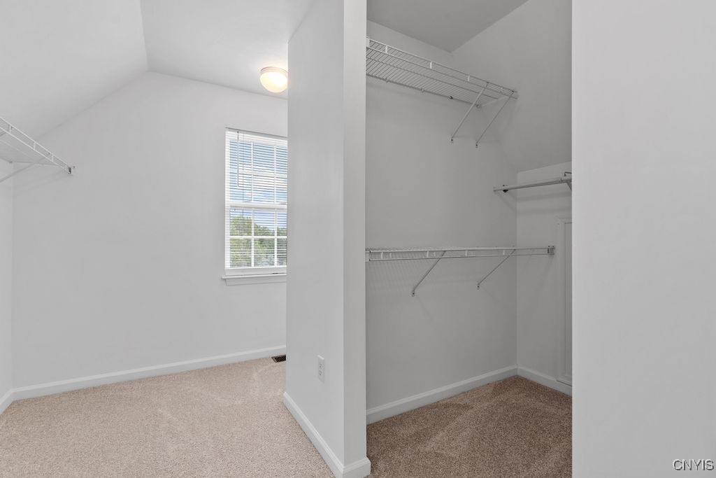 133 Raspberry Lane