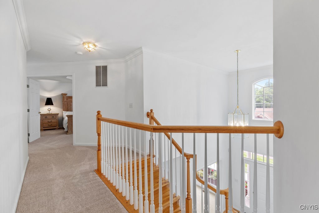 133 Raspberry Lane