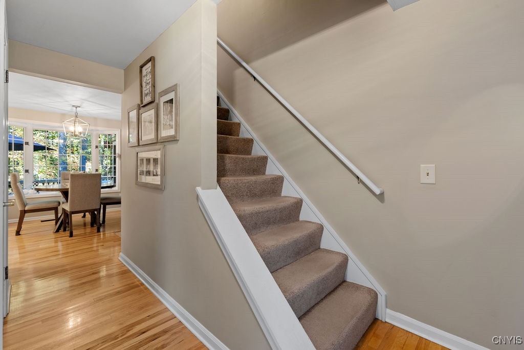 4329 Collier Circle