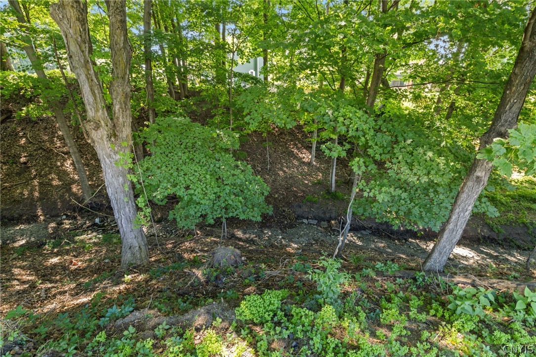 4929 Limehill Drive
