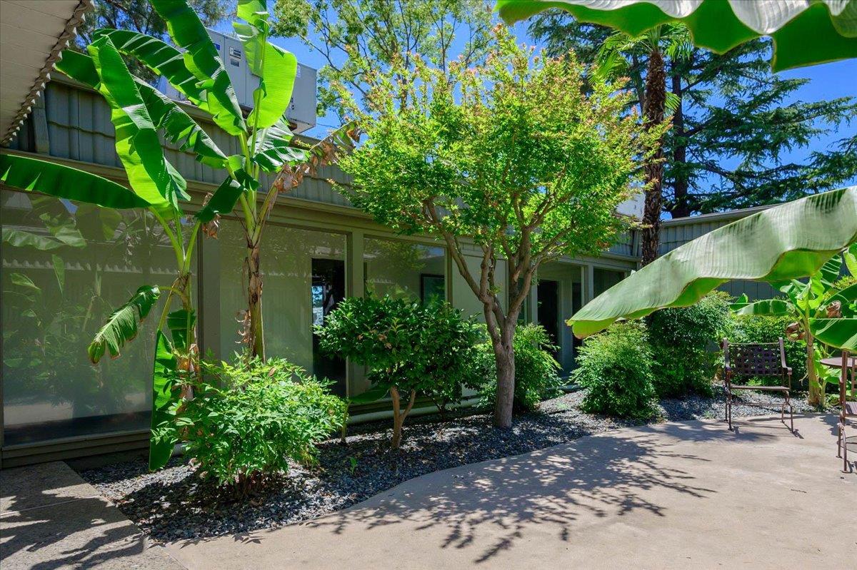 2706 W Ashlan Avenue # 323