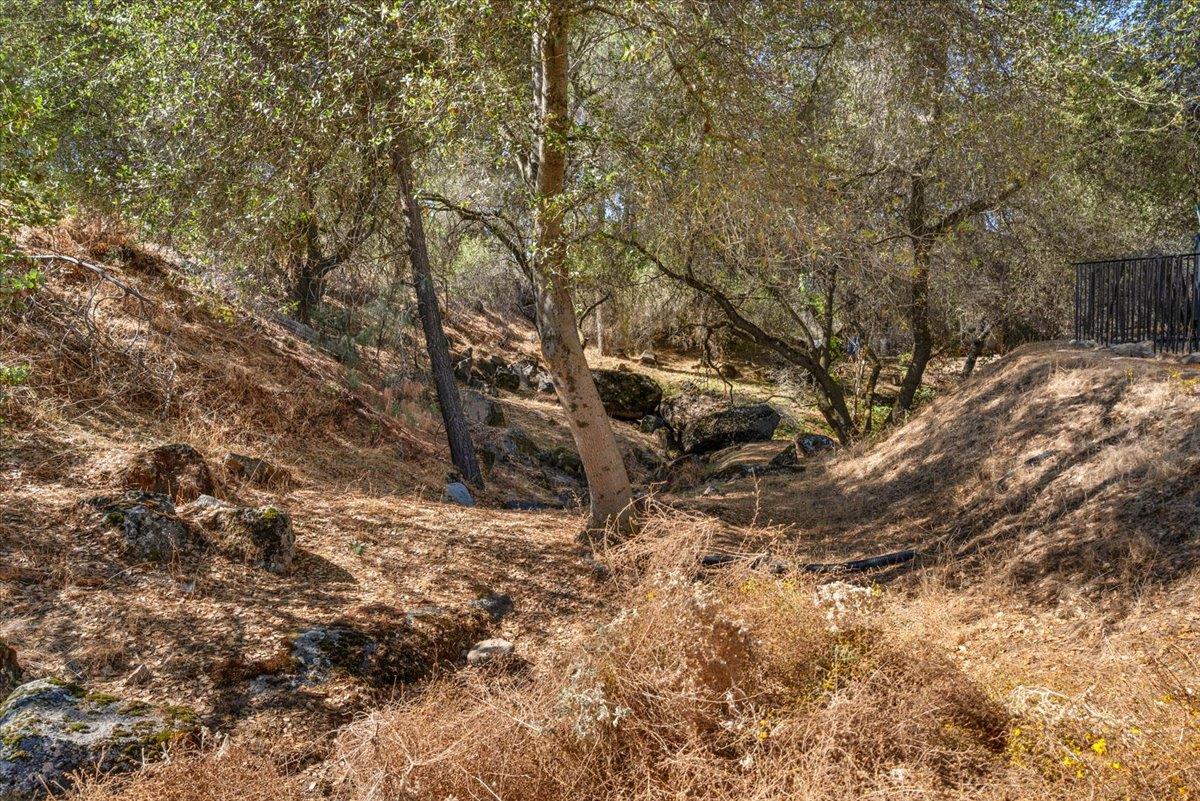 41391 Long Hollow Lane