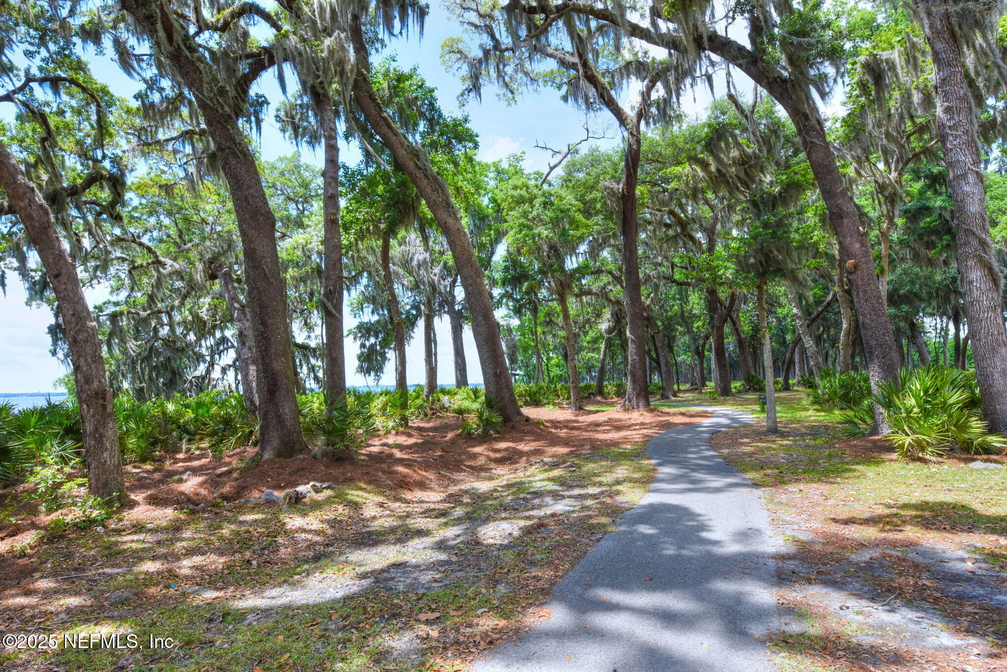 241 OAK SHADOW Place, St. Johns