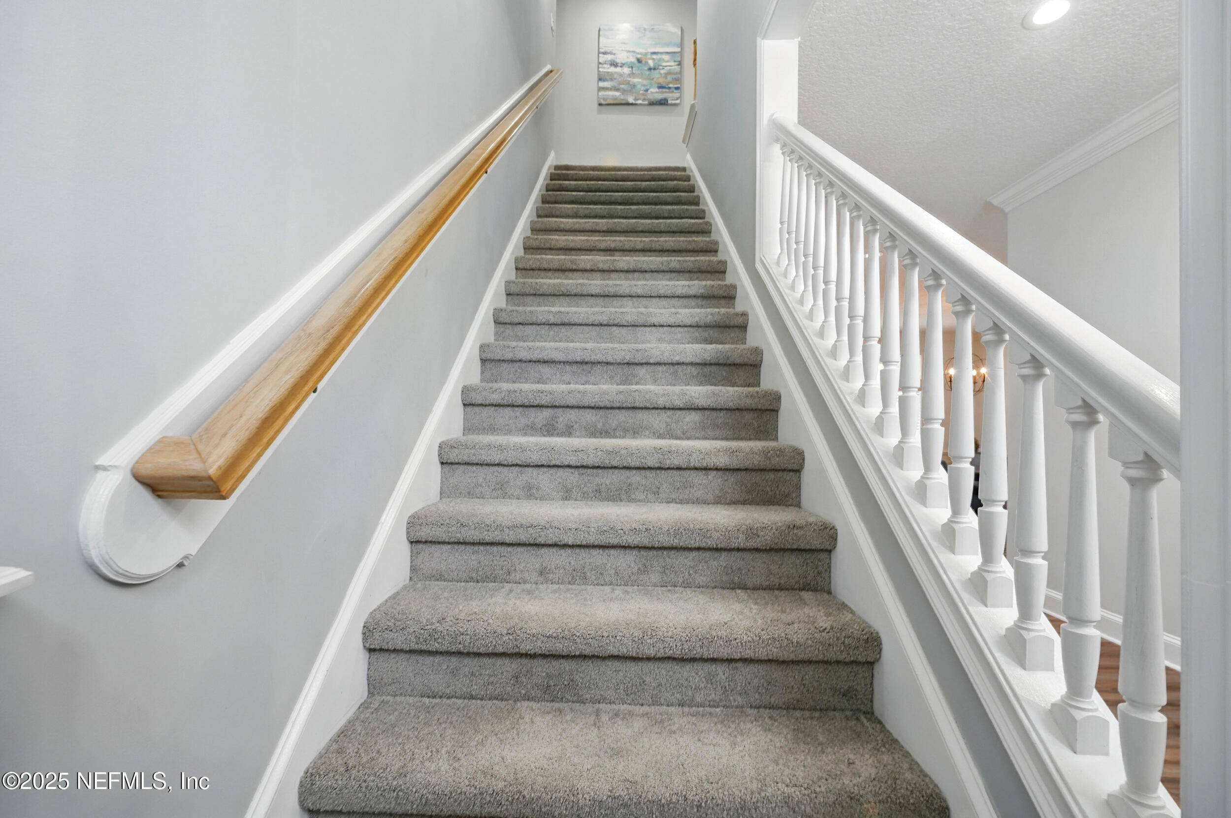 4427 ROYAL TERN Court